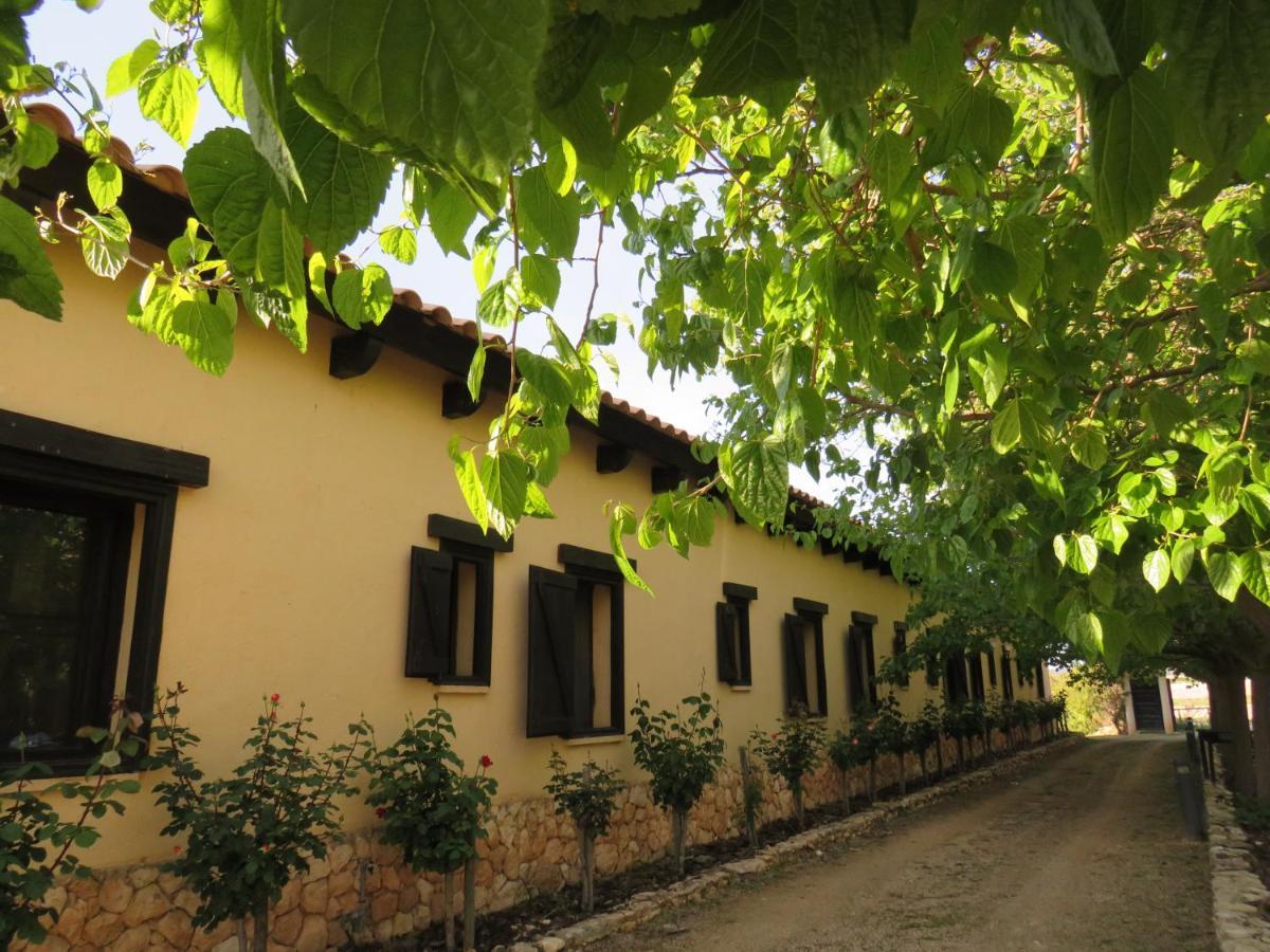 Hotel Enoturismo Mainetes Fuente-Álamo Exterior photo